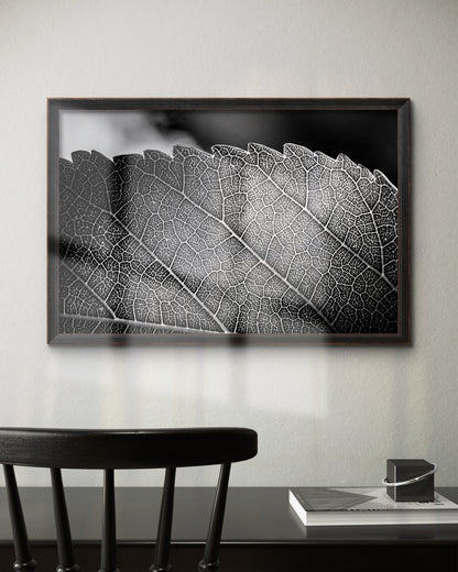 Black and White Leaf Vein Horizontal Print