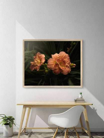 Ruffles on Daylilies, Peach Orange Moody Floral Horizontal Wall Art, Dramatic Photo Prints