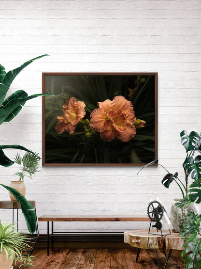 Ruffles on Daylilies, Peach Orange Moody Floral Horizontal Wall Art, Dramatic Photo Prints