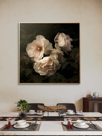 Aging Iceberg Roses