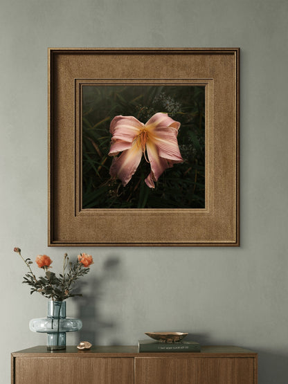 Bow Daylily