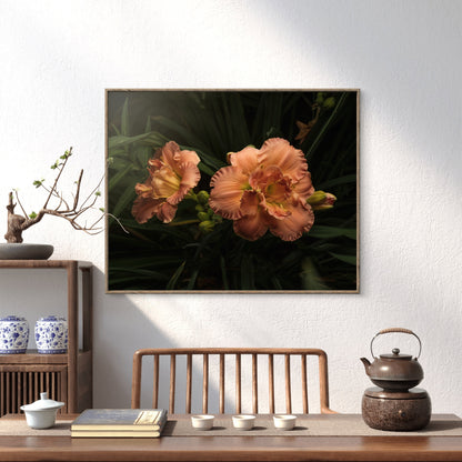 Ruffles on Daylilies, Peach Orange Moody Floral Horizontal Wall Art, Dramatic Photo Prints