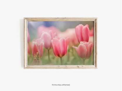 Blooming Pink Tulips in a Soft Dreamy Garden Setting