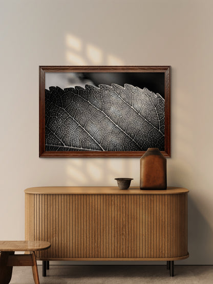 Black and White Leaf Vein Horizontal Print