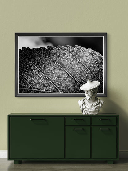 Black and White Leaf Vein Horizontal Print