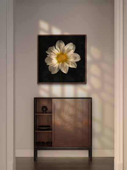 Cherubino Dahlia Portrait