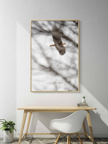 Eagle Flying Through Winter Trees
