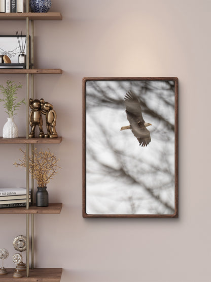 Eagle Flying Through Winter Trees