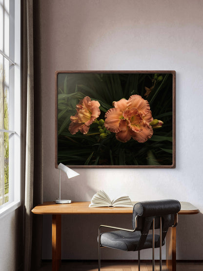 Ruffles on Daylilies, Peach Orange Moody Floral Horizontal Wall Art, Dramatic Photo Prints