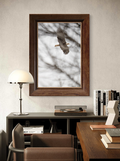 Eagle Flying Through Winter Trees