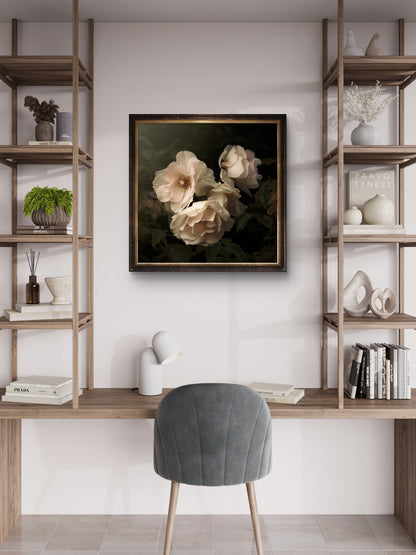 Aging Iceberg Roses